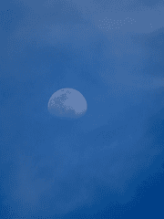 봄이 되고 나서야 겨울이 좋아졌다.