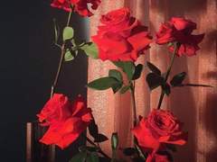 꿈이지만 너를 위해