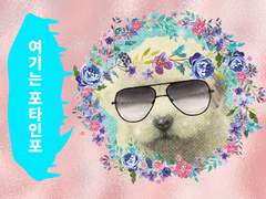 테스배 국22b 문대왼 굿즈 인포 (기간수정)