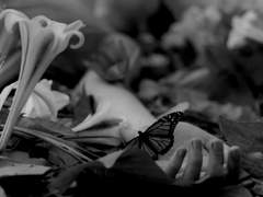 [ 도리벤 ] 뒷세계 브레인인 드림주와 그런 드림주의 오빠 이자나 3.5화