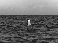 [우석도윤] 이방인이라는 감각