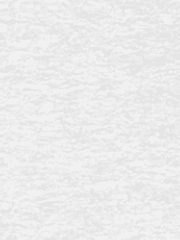 전지적 독자 시점