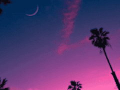 꿈이지만 나를 위해