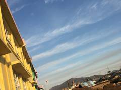 선생님 그날 저한테 왜 그냥 쉬라고 하셨어요 모든 게 다 거짓말이었다고 말씀해 주셨어야죠