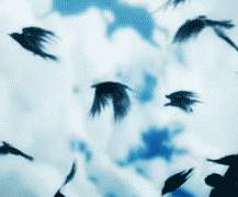 [현수은혁] 불가解,抗