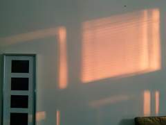 [이은유와 이은혁, 편상욱] 보호자와 아버지, 그리고 가족에 대하여