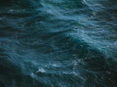 그 인어는 목소리를 잃지 않았다