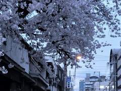 이나바 시오 / XX / 3학년