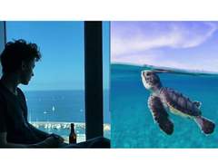 함께 여름을 보내자.