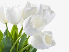 넌 몰랐을 거야