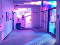 힐베티오 산의 비밀,