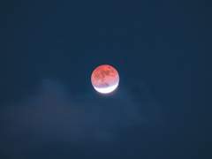 왜 야밤에 진수성찬을 차리고 그래(하)