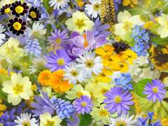 그 무엇보다 찬란하리라