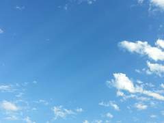 샤를로트 레이븐 / 여성 / 신성력부 / 자작