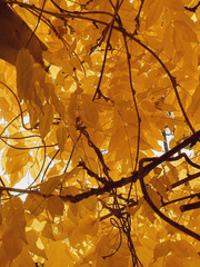 각별님 세상에 오신걸 환영합니다