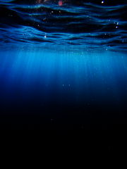 유언 '내일의 날씨는 쾌청입니다.'