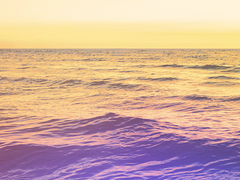 남부제독 입술 해적한테 다 털렸죠? | rov.