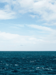 [MV] 우리는 파랑.