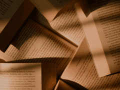 셉페스 동화이야기 A