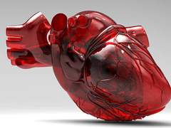 [제로피리] Fearless