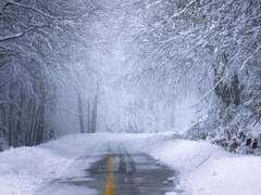 닿을 듯, 닿지 못하는 너에게