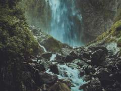 살아남는 것을 우선시 하는 삶을