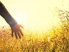 무기력 번아웃 탈출 *방법