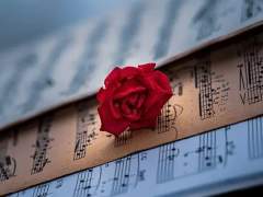 [ 새벽녘, 검은 연기 ]