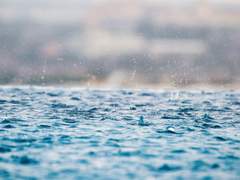 비 온다니 꽃 지겠다¹