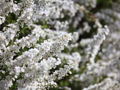 오 윤아 / 체육과 / 19