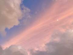 영매 잭과 귀신 제미니