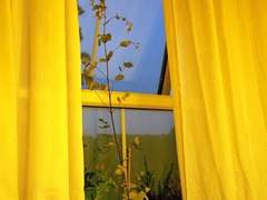 A는 내게 "네가 싫어" 하고 말했다