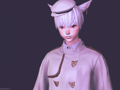 FF14 캐릭터 설정-캣시