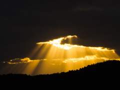 매일 아침 눈을 뜨는 것은/이상진