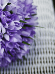 포틀라 아카데미에 어서오세요!