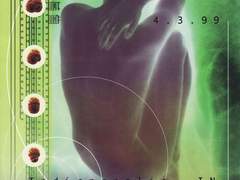 스토르게, 루두스, 에로스, ···매니아.