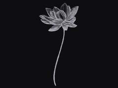 4화. 생존자 증후군