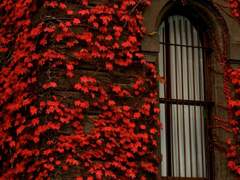 헤스터 W. 딤스데일/xx/신성력부/남작