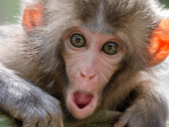 치유물 보고있다.