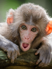 영양가 없는 잡담