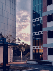 앤드류 댄트 헤일로