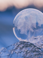 레볼루션 하트 연성