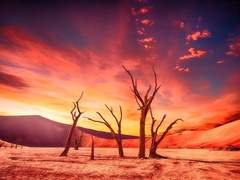 가물귀신이 사라졌으니……,