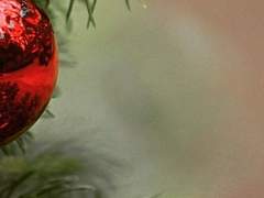 타이린 J. 나이빌리 / XY / 신성력 / 자작