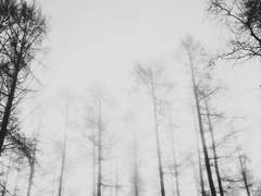 [아포리히] PLACEBO -2-