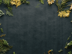 시한부, 유영하다