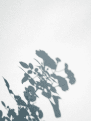 𝙵𝚘𝚛 𝚖𝚢 𝙱𝚛𝚒𝚕𝚕𝚒𝚊𝚗𝚌𝚎