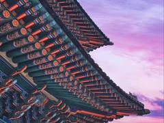 동백의 낙원 연재에 관하여