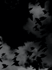 유언 '내일의 날씨는 쾌청입니다.'