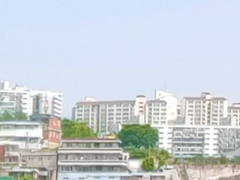 최근 일상 영상 모음 (늘 새롭고 행복한 나날들)